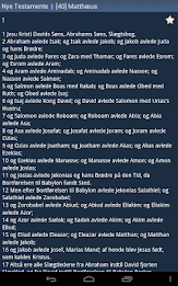 Danish Holy Bible poster 10