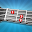 Learning Ukulele In 7 Days Download on Windows