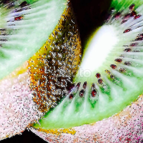 by Sultana Razia - Uncategorized All Uncategorized