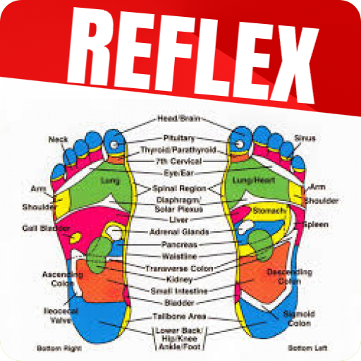 Foot Reflexology 健康 App LOGO-APP開箱王