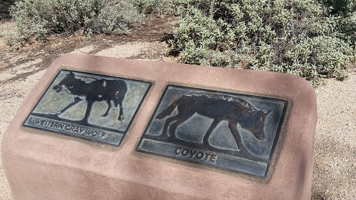 Western Gray Wolf & Coyote Desert Wilderness Markers