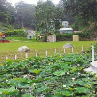 【北埔】西瓜莊園