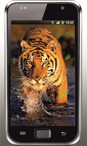 Tiger Free HD live wallpaper