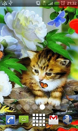 Spring Kitten Live Wallpaper