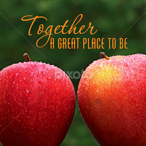 by Dipali S - Typography Captioned Photos