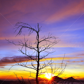 When the sun is shining I can do anything  by Kresnata Adijaya - Landscapes Sunsets & Sunrises