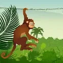 Jumping Monkey icon