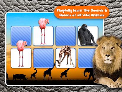 Memory Wildlife Photo For Kids Screenshots 6