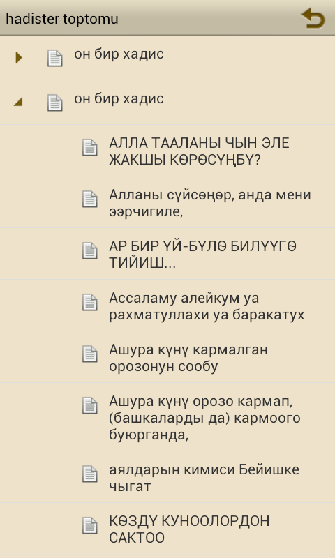 КЫРГЫЗ- ХАДИСТЕР ТОПТОМУ Screen 3