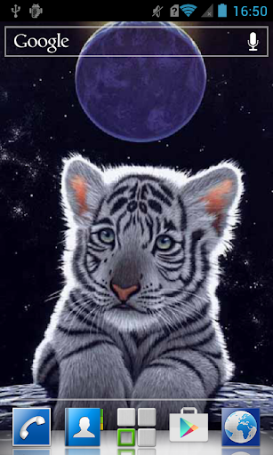Funny white tiger cub LWP