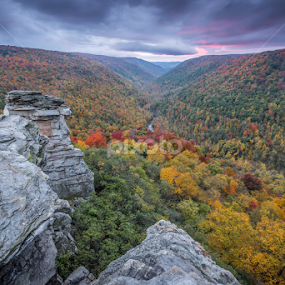 Fall colors in West Virginia by Ferruccio Galbiati - Landscapes Mountains & Hills