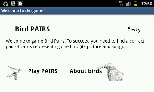 Bird Pairs