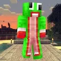 New Pixel Minecraft Skins Mod icon