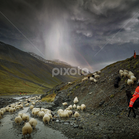 Into the storm by Kristján Karlsson - Landscapes Weather