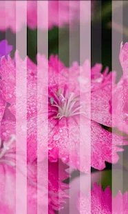 Photile Pro Live Wallpaper - screenshot thumbnail