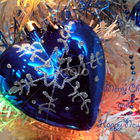 by Snezana Petrovic - Typography Captioned Photos