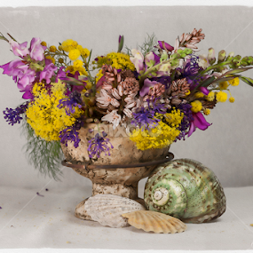 Pretty Wild by Astrid Pardew - Flowers Flower Arangements