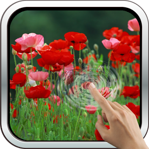 Red Poppies 3D Wallpaper.apk 6.0