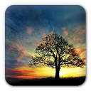 Sunset Hill Free LiveWallpaper mobile app icon