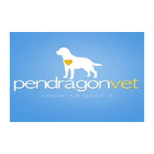 Pendragon Mobile 1.1