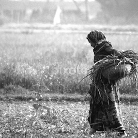 For Livelihood by Syed Hasibul Hasan - People Street & Candids