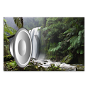 Nature Sounds logo