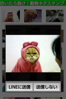 ラインスタンプで送ろう 吹いたら負け 爆笑 癒し動物スタンプ Androidアプリ Applion