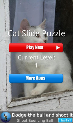 Cat Slide Puzzle