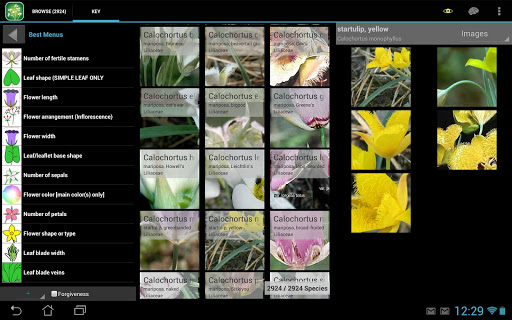 免費下載生活APP|1900 BC Canada Wildflowers app開箱文|APP開箱王