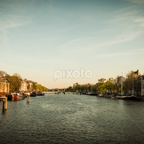 when nature and city meet by Aurora Villegas - City,  Street & Park Vistas
