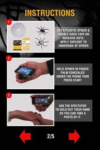    Magic Spider- screenshot  