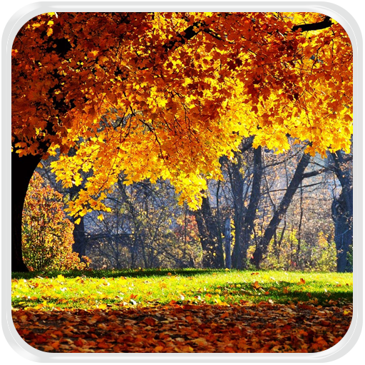 Autumn Live Wallpaper LOGO-APP點子