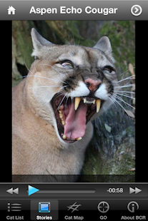 Big Cat Rescue Screenshots 3