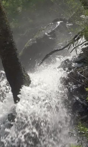 Stormy forest waterfall