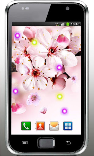 Sakura Spring live wallpaper