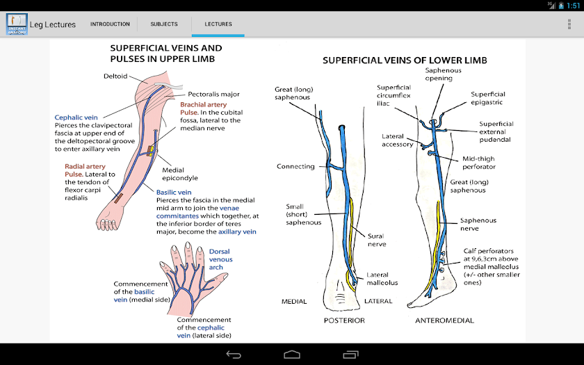 Anatomy Leg Lectures Screen 3