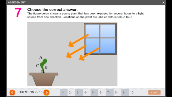 Phototropism in Plants Screenshots 5