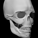 Bones Human 3D (anatomy) mobile app icon
