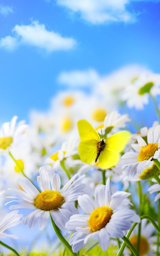 Spring Flower Live Wallpaper - Android Apps on Google Play