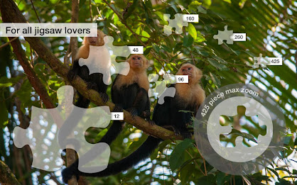 Costa Rica Jigsaw Puzzles Demo poster 6