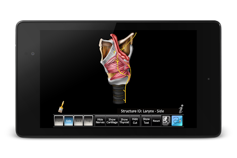Larynx ID Screenshots 7