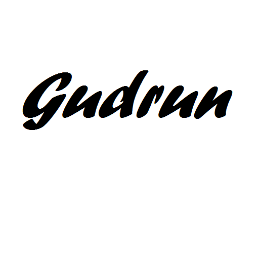 GUDRUN LOGO-APP點子