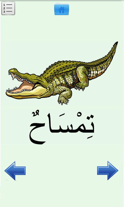 Learn Arabic Screen 3