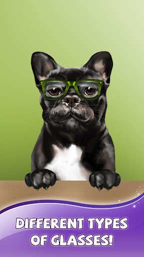 French Bulldog Live Wallpaper