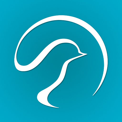 Paloma Hotels moded unlimitted apk - Download latest version 2.4