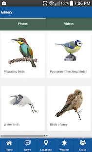 Free Download BirdWING APK for Android