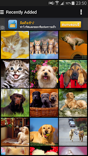 Cats & Dogs Set Wallpapers Screenshots 0