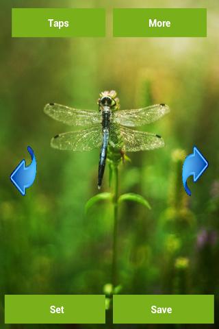 【免費個人化App】Dragonfly Wallpapers-APP點子