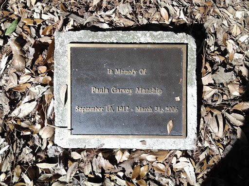 Paula Manship Memorial Tree