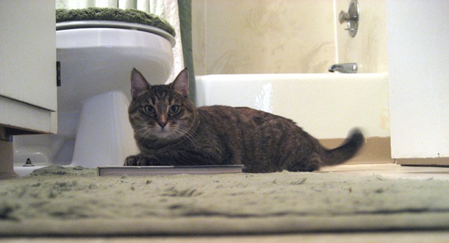 [bathroom reading[11].jpg]